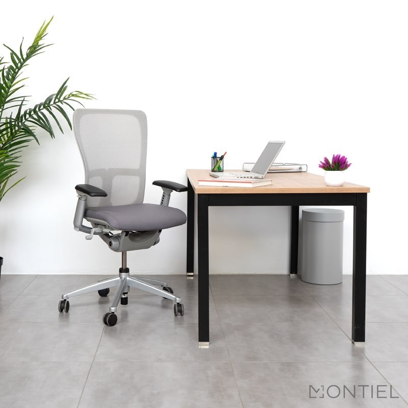 ▷ Silla Ergonómica de Malla Zody de Haworth - Montiel