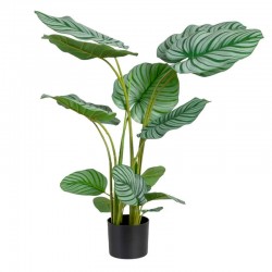 Planta Decorativa Artificial Arruruz Verde