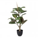 Planta Artificial Decorativa h76 cm Roble verde comprar online