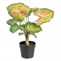 Planta Artificial Caladio Rojo-Verde h55 cm comprar online