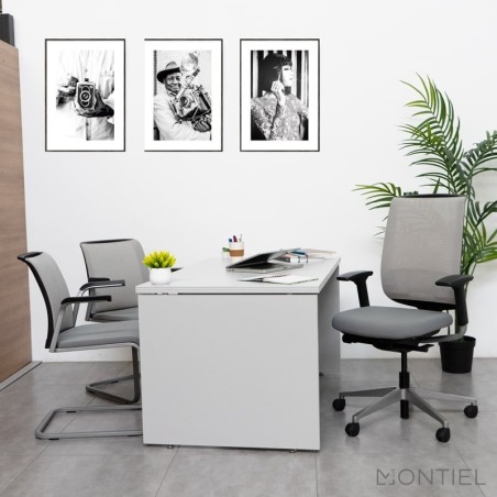Silla Ergonómica Reply de Steelcase - Montiel