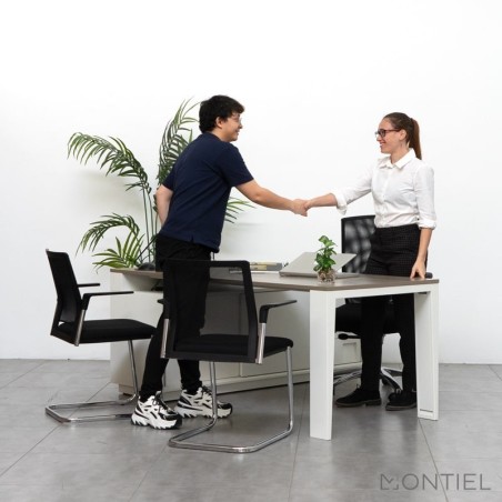 Silla Confidente Malla Negra Plural de Forma 5 - Montiel