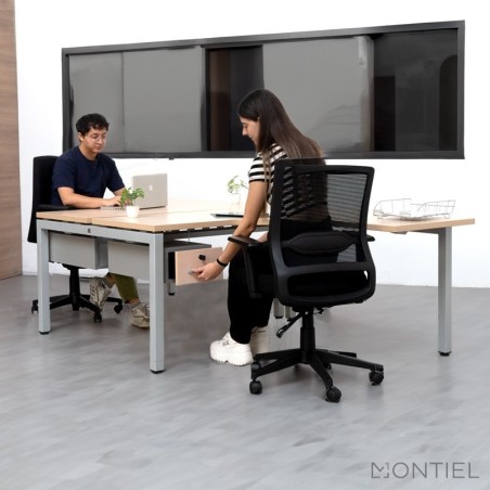 ▷ Silla Ergonómica Sidney de Euromof - Oficinas Montiel