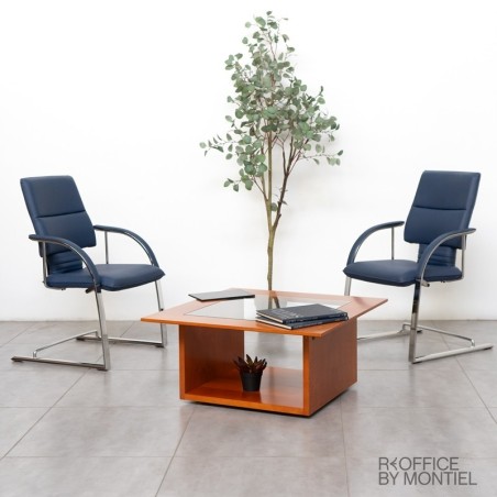 Mesa de Centro Baja Vintage MM1539 - Montiel