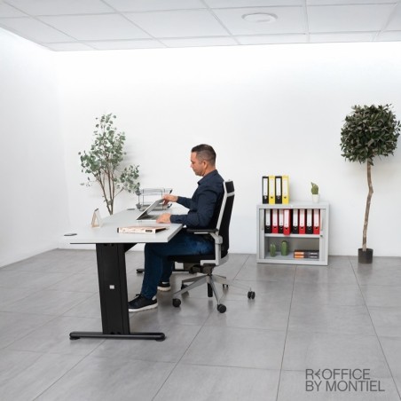 Silla Ergonómica Dis de Dynamobel - Montiel