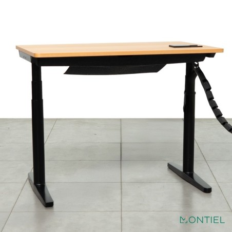 Mesa Escritorio Regulable en altura de Linak - Reoffice