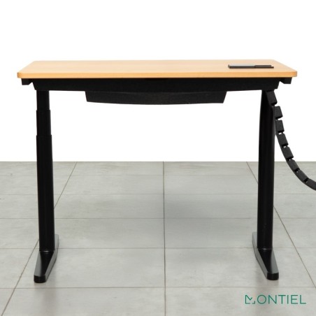 Mesa Escritorio Regulable en altura de Linak - Reoffice