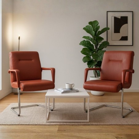 Pack de 2 Sillones en Piel Roja MM1731 - Montiel