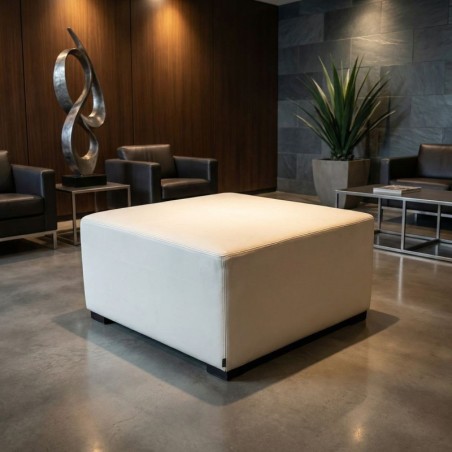 Puff Sala de Espera MM1756 de Montiel - Montiel
