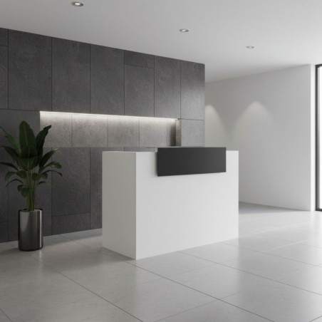 Mostrador de Oficina de Atención de Kunna - Montiel