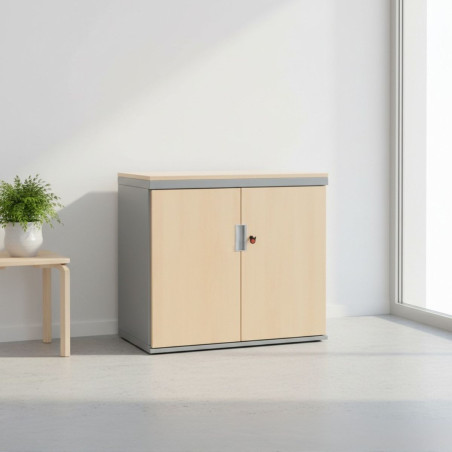Armario con 2 Puertas Abatibles de Dynamobel - Montiel