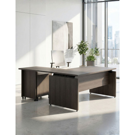 Mesa de Dirección Ceres con Ala de Ismobel - Montiel