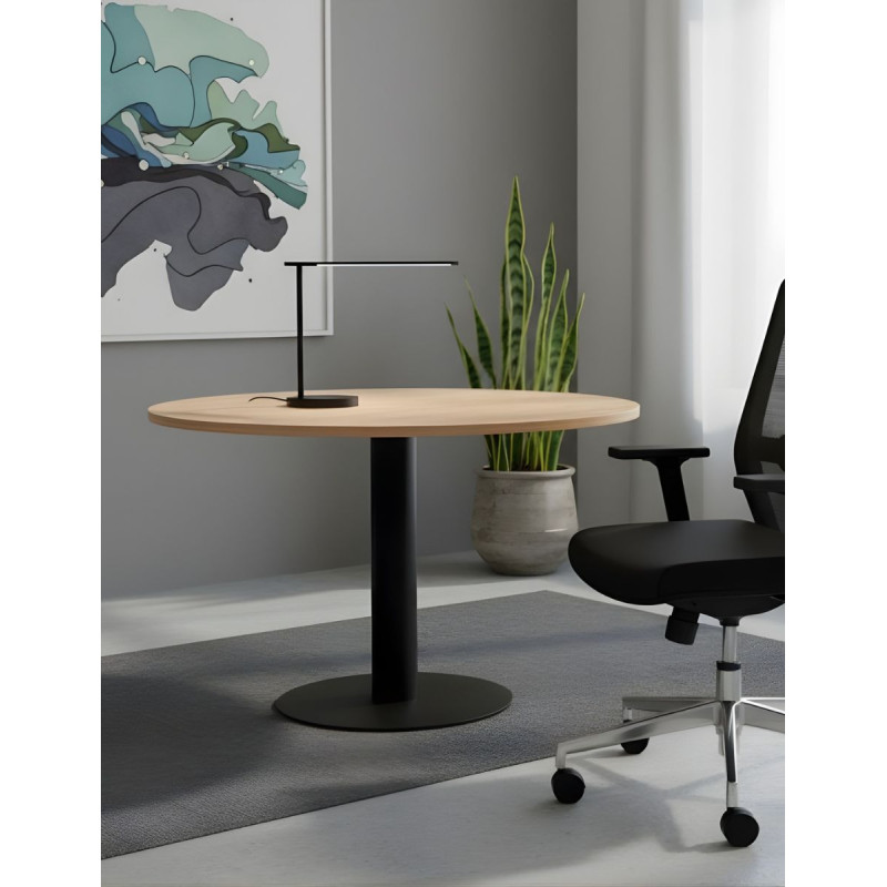 Mesa Redonda para Reuniones Meeting de Kunna - Montiel