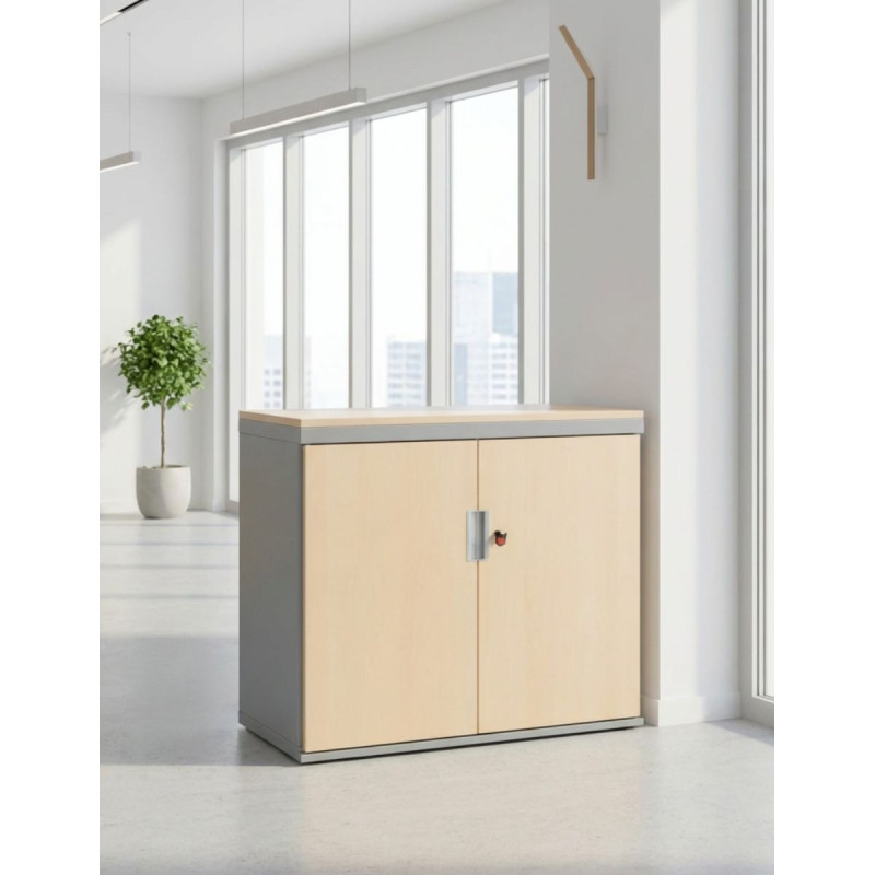 Armario con 2 Puertas Abatibles de Dynamobel - Montiel