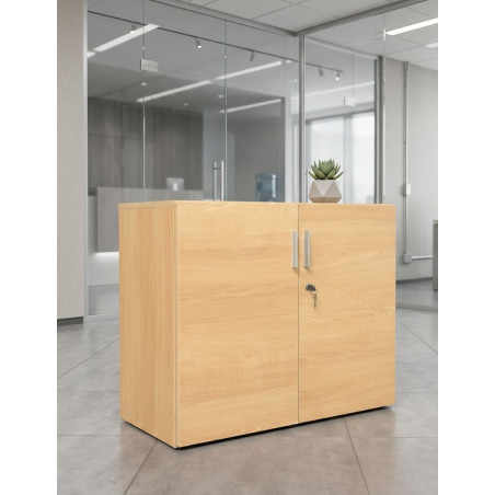 Armario Oficina Madera Plus de Forma 5 - Montiel