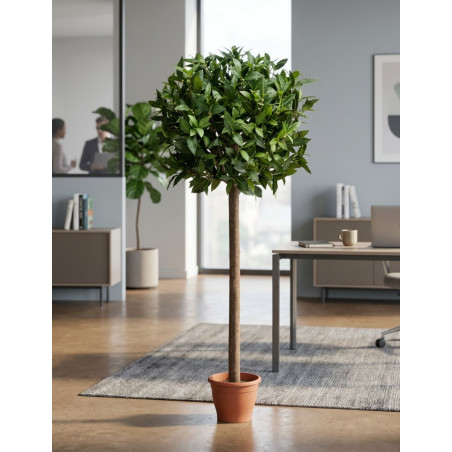 Planta Interior Laurel Esfera de Decoplanta - Montiel