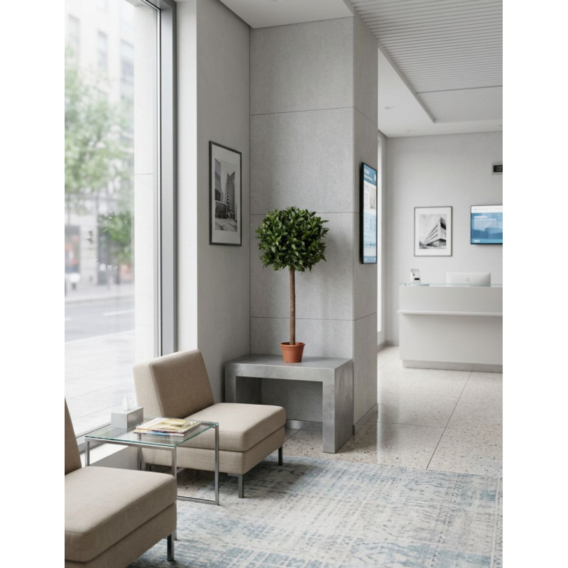 Planta Interior Laurel Esfera de Decoplanta - Montiel