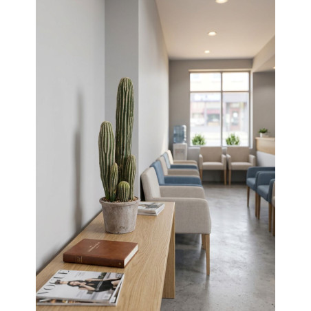 Cactus San Pedro 57cm. Decoplanta - Montiel