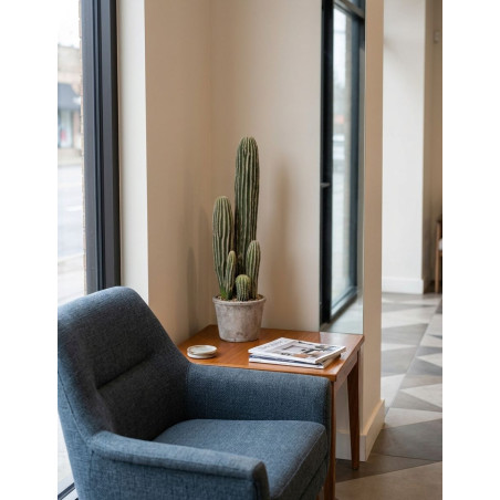 Cactus San Pedro 57cm. Decoplanta - Montiel