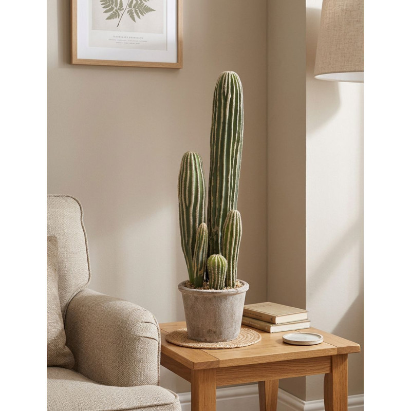 Cactus San Pedro 57cm. Decoplanta - Montiel