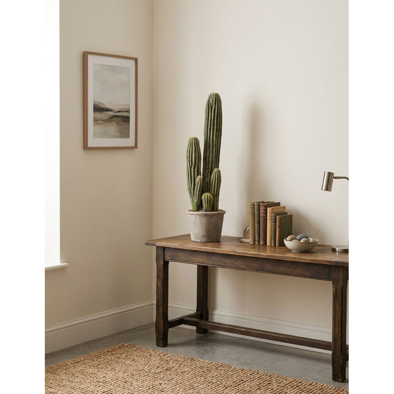 Cactus San Pedro 57cm. Decoplanta - Montiel