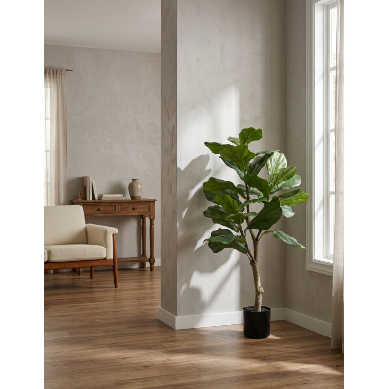 Planta Interior Ficus Lyrata - Montiel