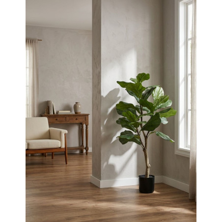 Planta Interior Ficus Lyrata - Montiel
