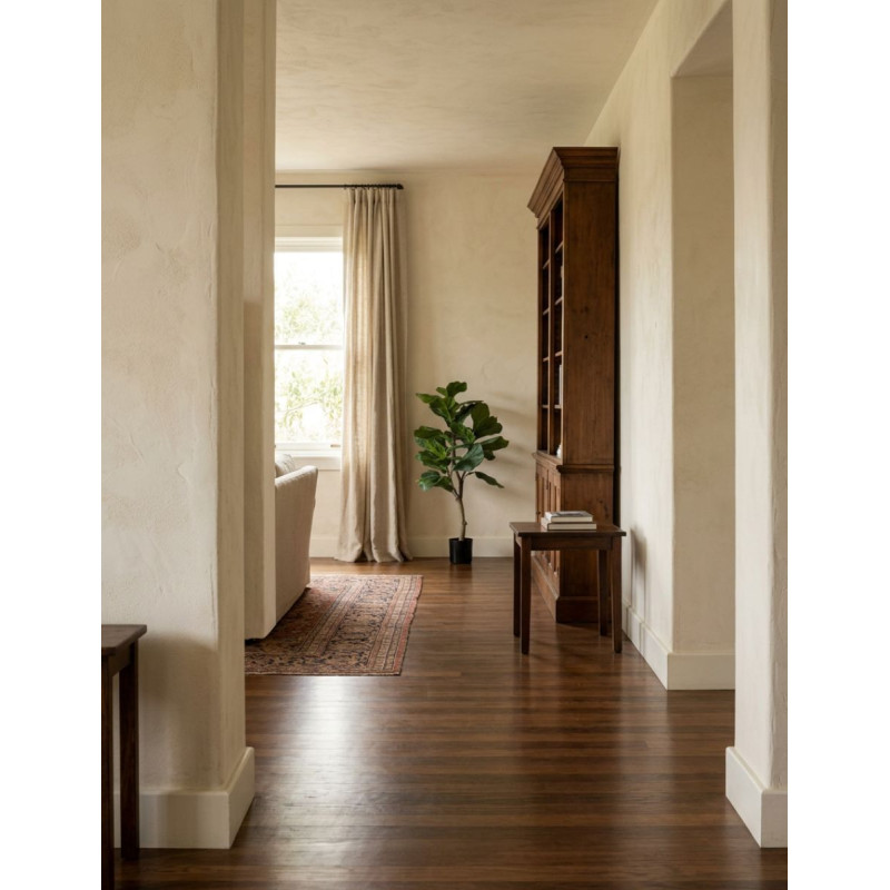 Planta Interior Ficus Lyrata - Montiel