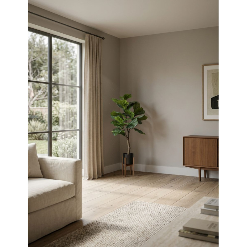 Planta Interior Ficus Lyrata - Montiel