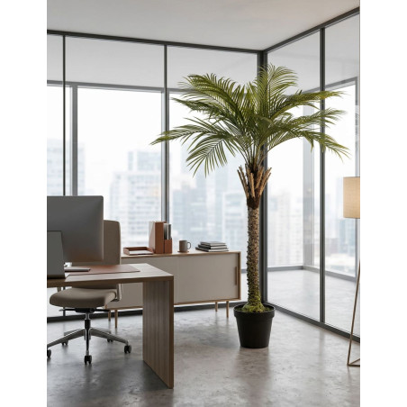 Planta Gran Palmera de Decoplanta - Montiel