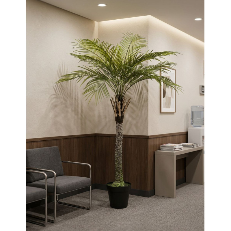 Planta Gran Palmera de Decoplanta - Montiel