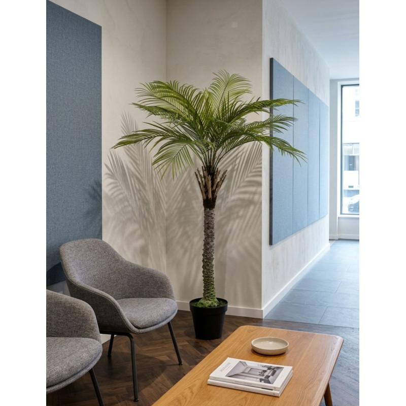 Planta Gran Palmera de Decoplanta - Montiel