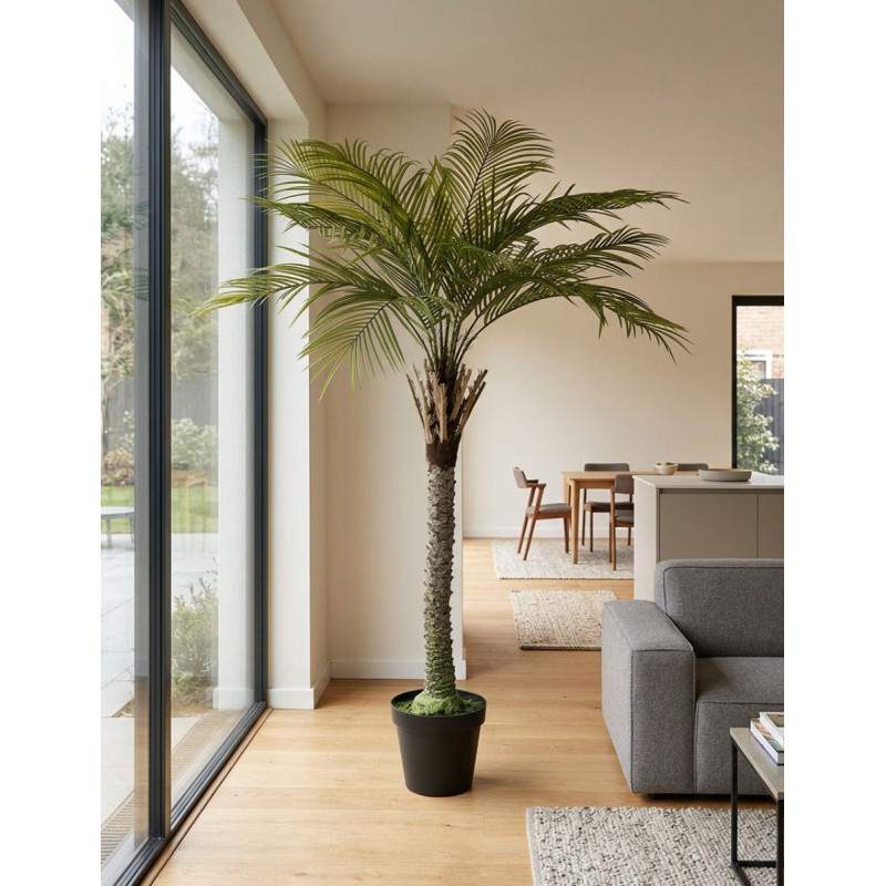 Planta Gran Palmera de Decoplanta - Montiel