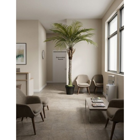 Planta Gran Palmera de Decoplanta - Montiel