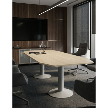 Mesa Reunión Meeting de Rocada - Montiel