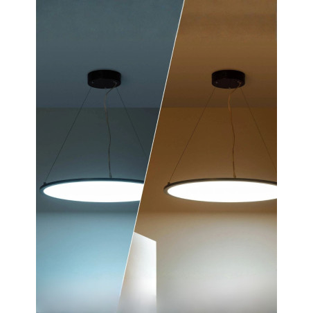 Lámpara Colgante Oficina LED de Metal Magnus - Montiel
