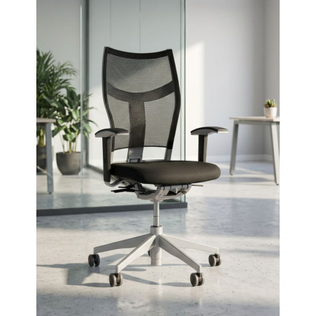 Silla Ergonómica ZAS Evolution de Dynamobel - Montiel