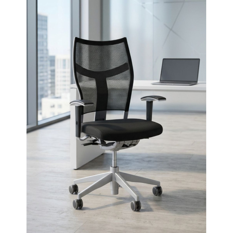 Silla Ergonómica ZAS Evolution de Dynamobel - Montiel