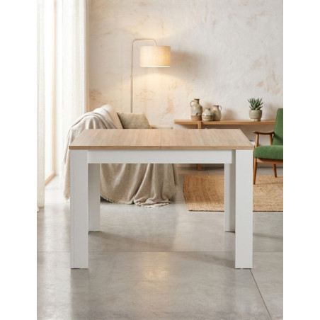 Mesa para Salón Comedor Extensible Stone - Montiel