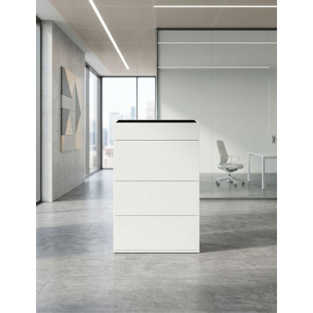 Archivador Oficina con Macetero de Herman Miller - Montiel