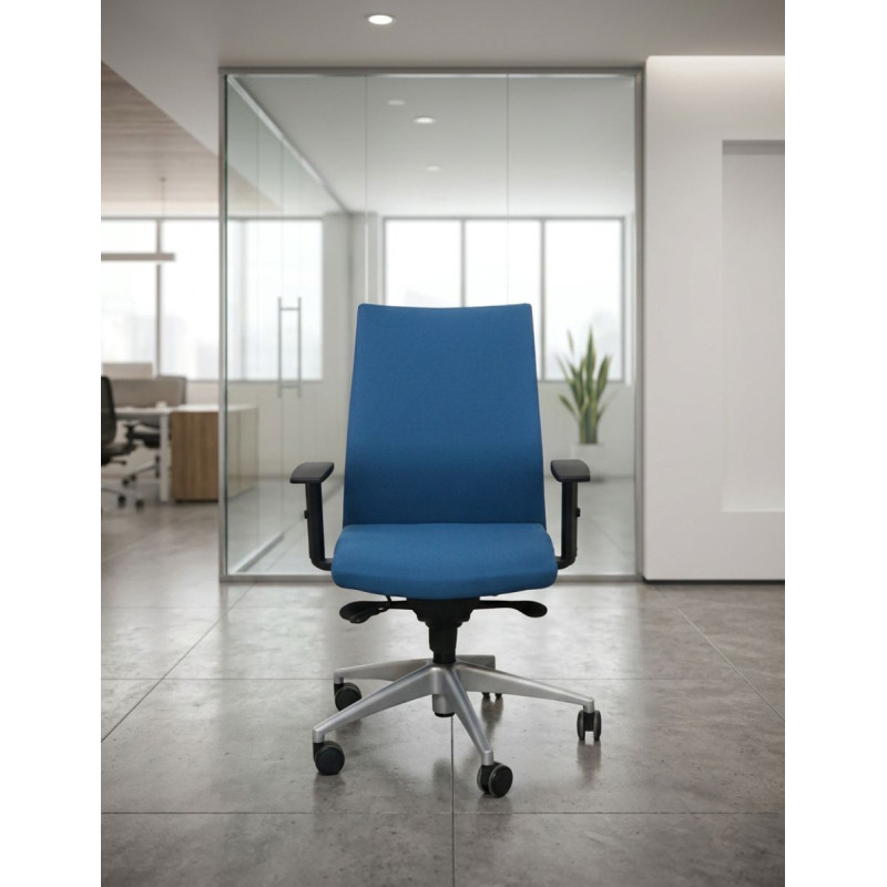 Silla Ergonómica Oficina Dorso de Franch - Montiel