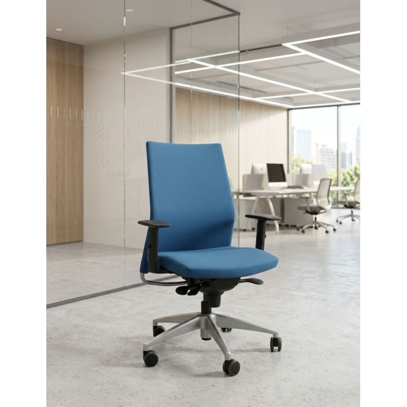 Silla Ergonómica Oficina Dorso de Franch - Montiel