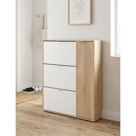 Armario Zapatero Fijo de 4 Puertas Matt - Montiel