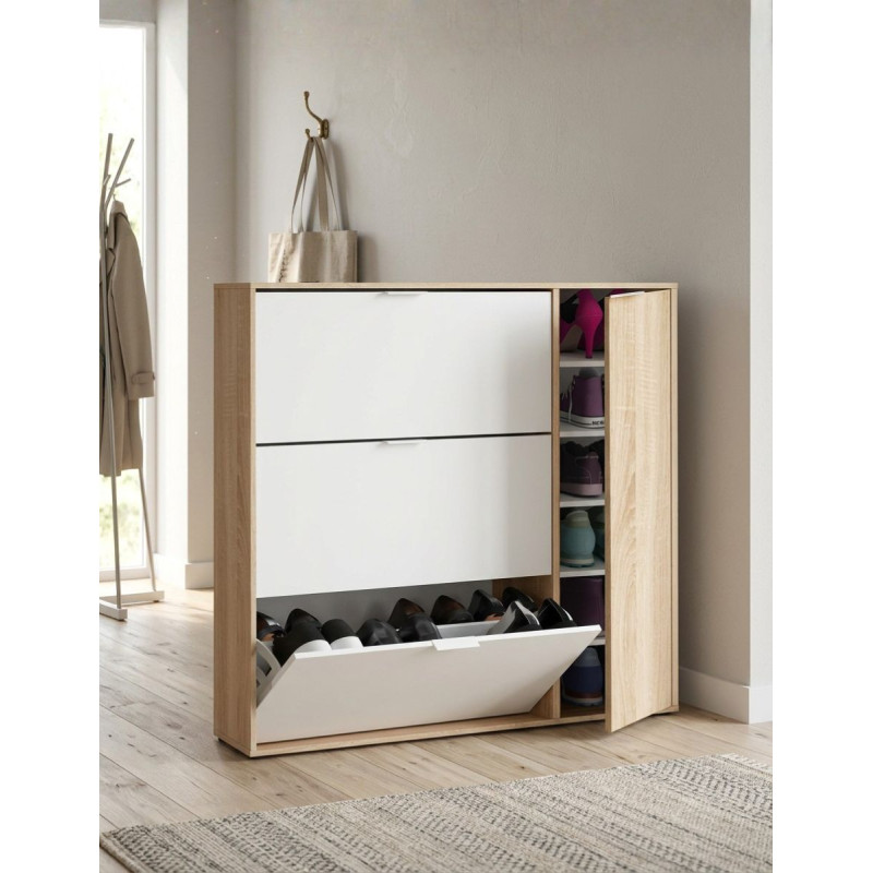 Armario Zapatero Fijo de 4 Puertas Matt - Montiel