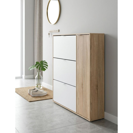Armario Zapatero Fijo de 4 Puertas Matt - Montiel