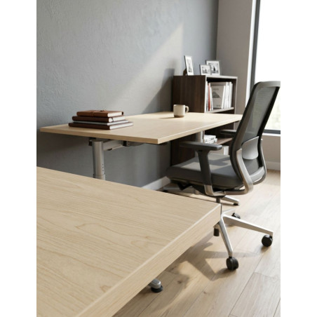 Mesa Oficina Elevable de Dyes - Montiel
