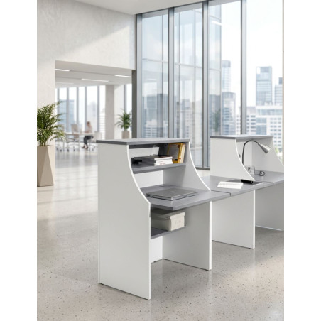 ▷ Mostrador H2 de Herpesa - Oficinas Montiel