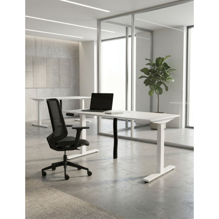 Mesa Elevable Escritorio Skala Next de Forma 5 - Montiel