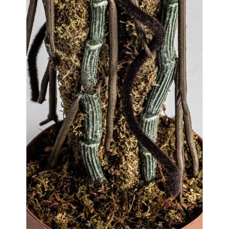 Planta Split Philo Artificial Decorativa - Montiel