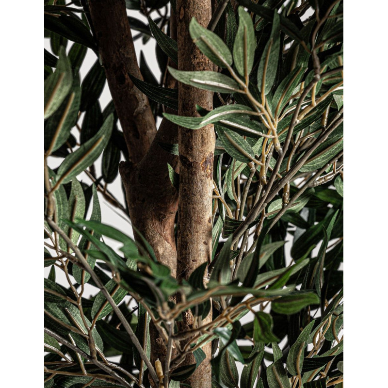 Planta Decorativa Olivo Alto 205 cm. - Montiel